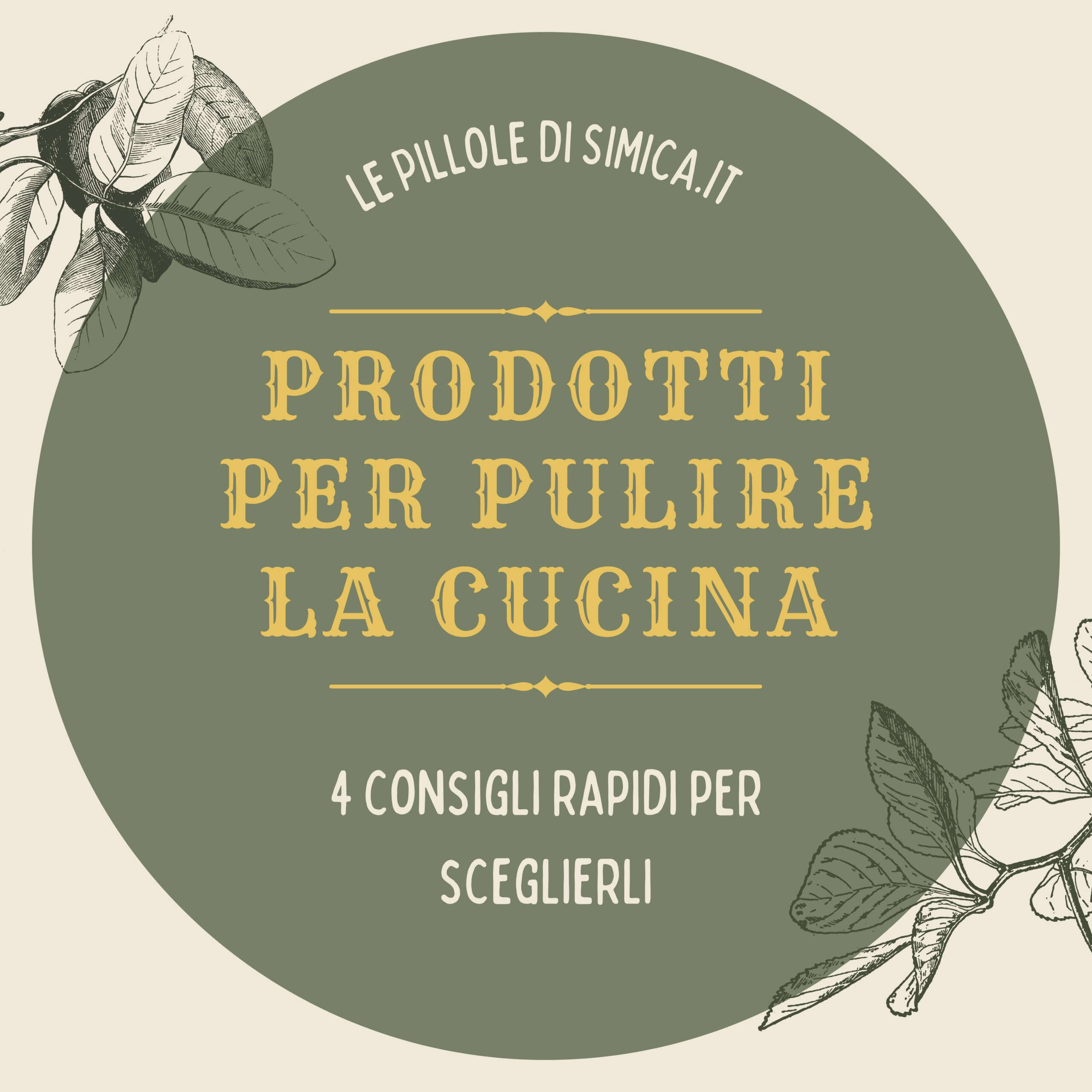 Prodotti per pulire la cucina