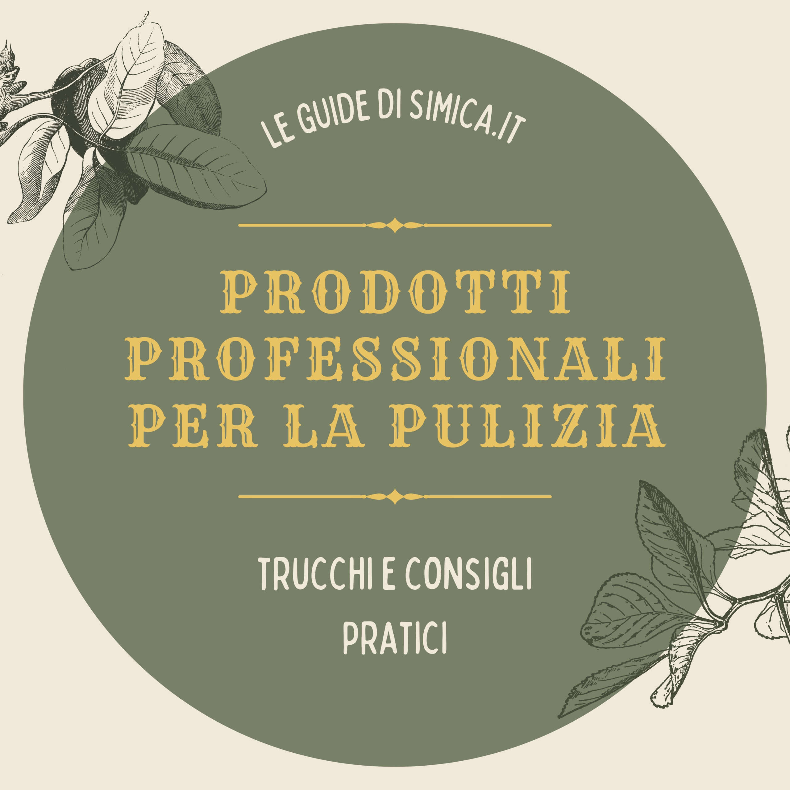 prodotti professionali per la pulizia